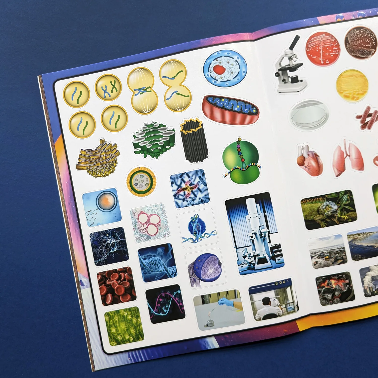 Discover Biology Sticker Book by Wonders of Learning