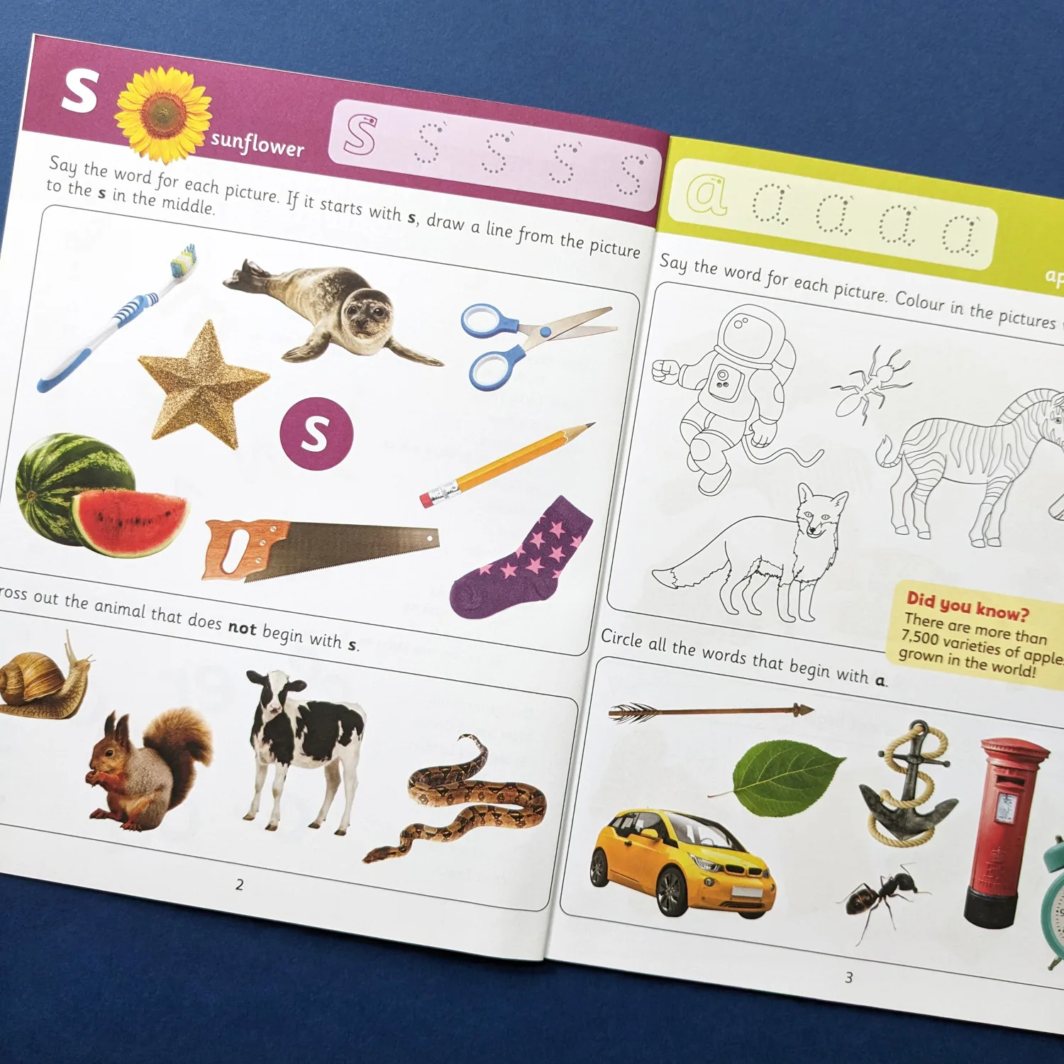 Reception Phonics by Wonders of Learning