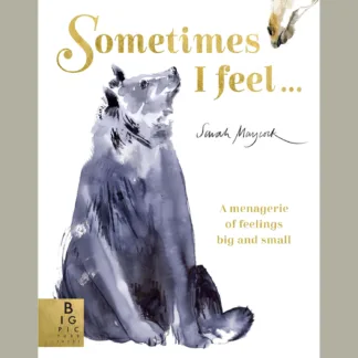 Sometimes I Feel by Big Picture Press