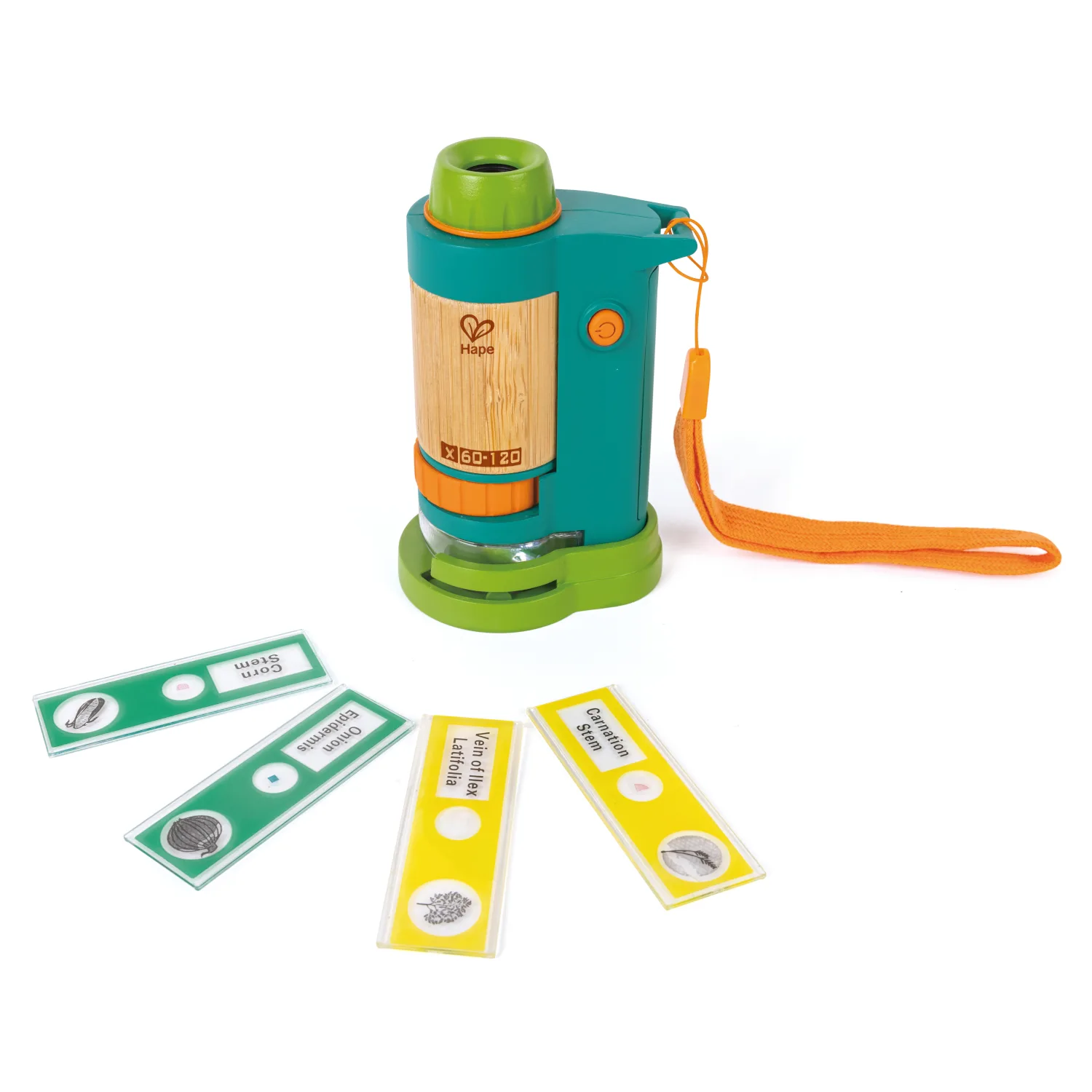 Field Microscope by Hape - Home Education Resources