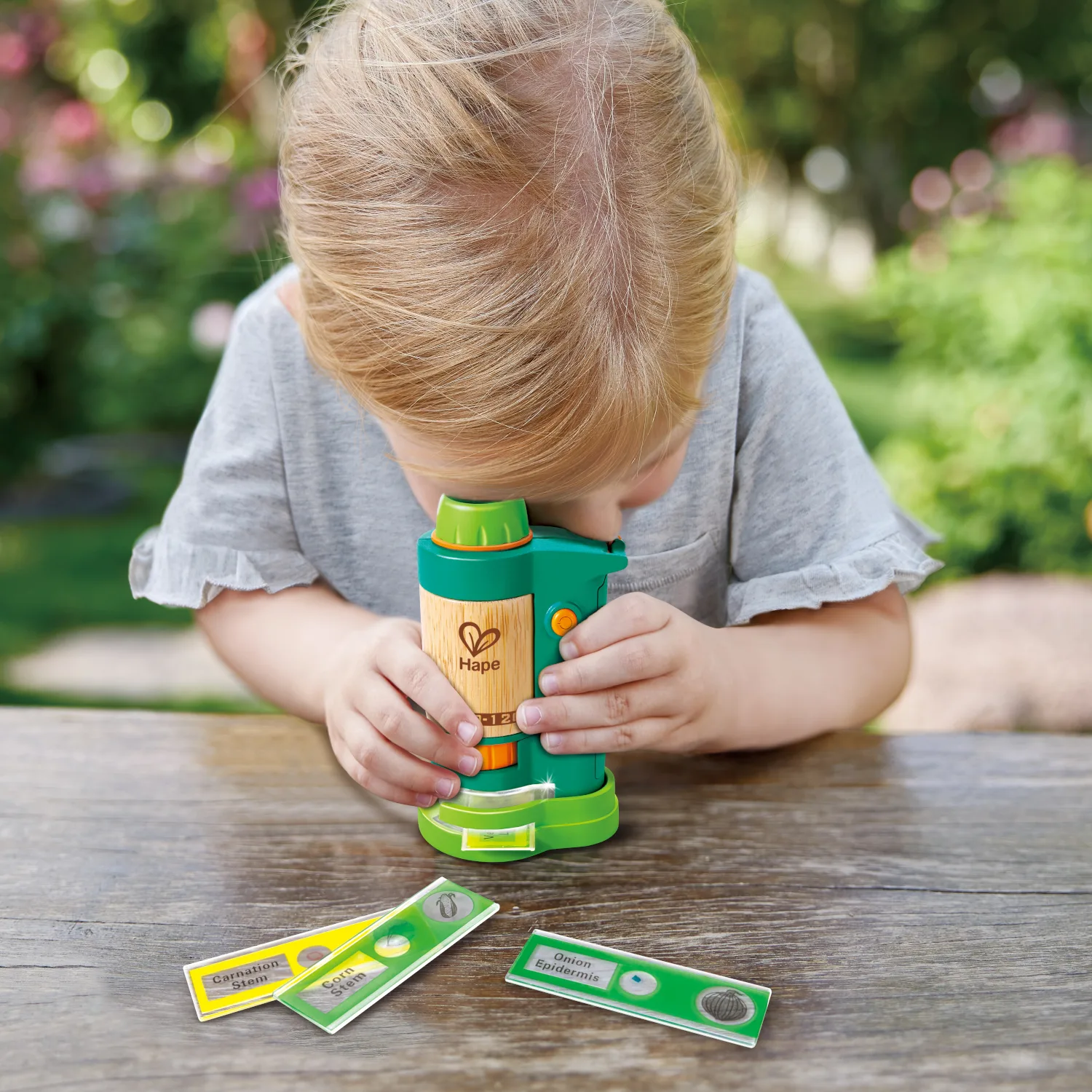 Field Microscope by Hape - Home Education Resources