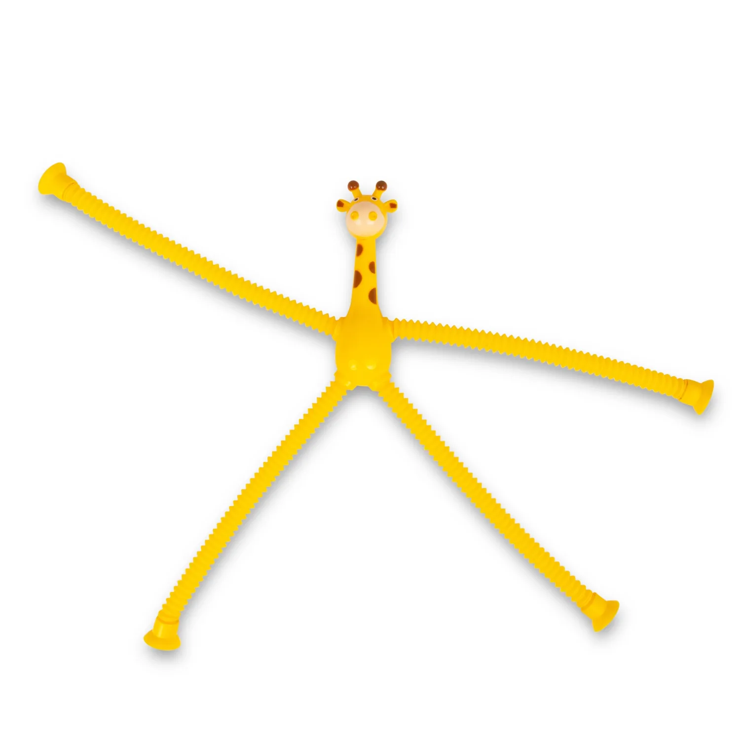 Animal Pop Tube by HGL